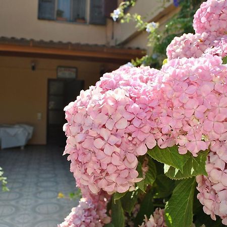 Hotel La Pineta Arborea Bagian luar foto