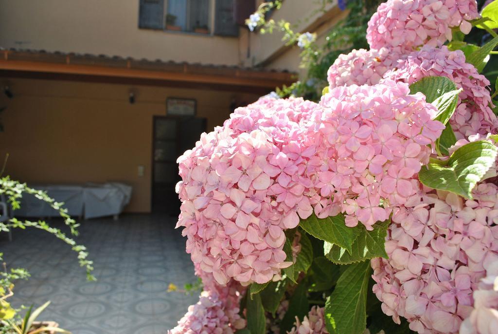 Hotel La Pineta Arborea Bagian luar foto